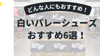 白いバレーボールシューズおすすめ6選！初心者も安心【2026年度版】