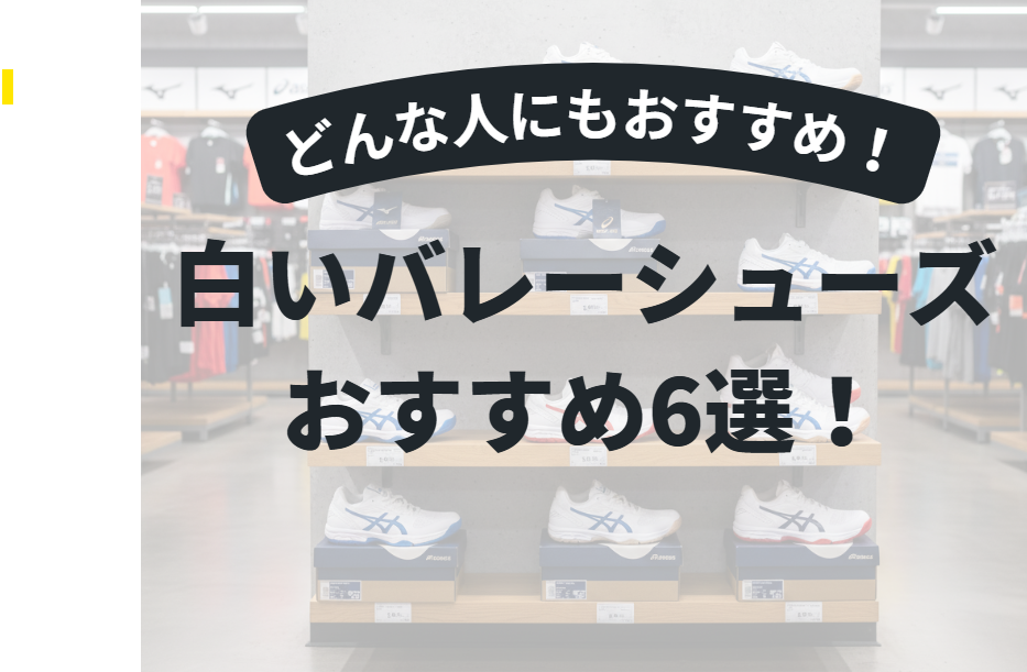 白いバレーボールシューズおすすめ6選！初心者も安心【2026年度版】
